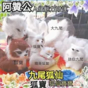 現貨＋預購 蛙泰泰 阿贊公人緣up魅力狐寶寶  附心咒 九尾白狐仙 狐寶 正牌 蛙泰泰 狐狸 佛牌