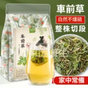 車前草 花草茶 代用茶 茶包 新鮮 整棵 泡茶 泡水喝 車前草乾貨 清潤退火 獨立包裝 三角茶包 乾淨 無硫 夏季必備