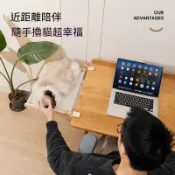 ✨台灣出貨⭐ 夏季透氣夾桌貓窩 貓咪吊床 窗臺曬太陽夾桌款 床邊懸掛貓咪支架床 貓爬架桌邊床 遊戲玩家養寵 電競房養寵