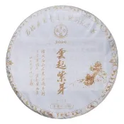 石生古樹紫芽茶—2020 雲起紫芽