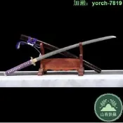 【桃園出龍泉劍武長居太肋差長劍katana未刃