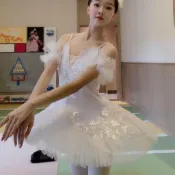 【台灣出貨】天鵝湖演出服 芭蕾舞裙表演服 國標舞衣 舞蹈練功服 比赛演出服 藝考禮服 蓬蓬裙 吊帶裙 演出裙子
