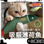 🔥【Pet Rolling】🔥新品 貓薄荷玩具 貓薄荷抱枕 貓咪磨牙舒壓玩具 仿真貓薄荷魚 發聲玩具 逗貓棒 貓草魚
