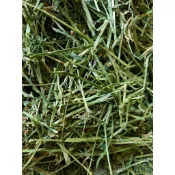 現貨 甜燕麥 苜蓿 提摩西一割 二割 百慕達 燕麥草 甜小麥 草高纖磨牙兔子龍貓豚鼠全階段營養充足適口性優小寵搶著吃