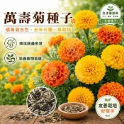 【現貨。不用再問】混色萬壽菊種子 線蟲防治 500公克大包裝  花海 萬壽菊 種子 無花果 天牛 忌避植物 根瘤線蟲