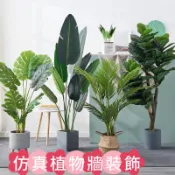 現貨🔜🚚 仿真植物裝飾 仿真葉片 客廳裝飾品擺設 龜背芋 龜背葉 居家裝飾 仿真植物裝飾 室內裝飾 居家裝飾 龜背