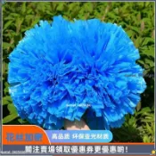 【啦啦球花球】彩球 拉拉隊 舞蹈花球 廣場舞 跳舞 學校啦啦操 幼稚園 演出 道具 表演 加油棒 啦啦隊彩球 韻律球