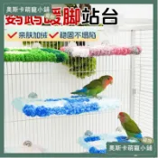 💥台灣出貨💥鹦鹉窝 鹦鹉站台 鸚鵡站架 鸟架 鸚鵡睡床 鸚鵡吊床 暖腳站台 保暖吊床 棉墊冬季沙發床墊玄鳳牡丹休息台