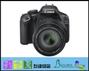 彩色鳥 (相機出租 ) Canon EOS 550D + Canon EF-S 17-55mm f2.8 IS USM (1800萬像素+高速3.7張連拍 +鏡皇)