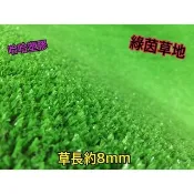 台塑草皮正公司貨大俗賣! 防焰防燃証明 草地毯 人造草 高爾夫草 人造草皮 人工草皮 塑膠草 台塑南亞正公司貨