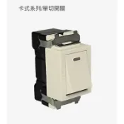 中一電工 JYE 牙色 單切開關JY-5001 雙切開關JY-5002