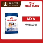 (店+)【ROYAL 法國皇家】MXA 大型成犬專用飼料4kg /10kg /15kg｜狗乾糧 狗飼料 GR26 皇家狗飼料
