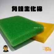 【爬博士】💥台灣現貨💥角蛙專用生化棉｜角蛙海綿墊｜角蛙墊材｜角蛙棉｜青蛙棉｜角蛙海棉｜角蛙飼養｜角蛙用品｜角蛙
