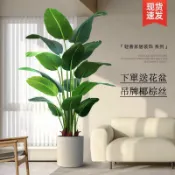 全球選品1館 生活百貨 旅人蕉綠植假植物裝飾室內大型盆栽天堂鳥仿生花客廳落地擺件