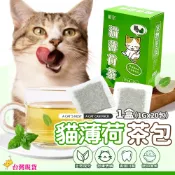 【12H發貨 滿額免運】貓薄荷茶包 1g/20入 讓貓愛上喝水 貓草 貓零食 貓薄荷 放鬆情緒 木天蓼 貓草茶 貓薄荷茶