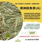 甜燕麥A款★店長推薦※9/1到貨《富兔康》♥澳洲甜燕麥(A) 100克&350克裝。兔子草/牧草