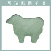 幅新手織 紐西蘭ASHFORD-可瑞戴爾羊毛[100克]C45夢幻綠 DIY手作/羊毛氈材料/文創