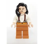 樂高 LEGO 21319 莫妮卡 六人行 全新已組