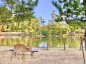 【Lion Travel 雄獅旅遊】客製｜關西親子雙樂園~志摩西班牙村.模範生點心麵樂園.伊勢神宮.梅花鹿公園迷你小團五日【專屬包車】(北/高出發)※不含機票 出發地點：台北