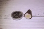 06 澎湖文石.文眼石.帶眼很漂亮.美石 (本土文石)  總重約   7.1  g  尺寸約   25 x 19 x 1
