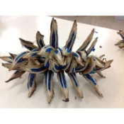 旅人蕉果莢-,整串購買另有優惠.手作教學 花圈製作裝飾 收藏擺飾