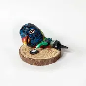 彩虹吸蜜鸚鵡 Rainbow Lorikeet Handmade art doll
