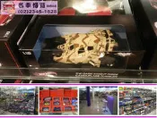 【CV 名車博覽】1/18 蝙蝠車 BATMOBILE 迷彩特別版