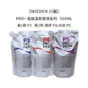 WIEDEN 川越 PRO+ 髮妝溫熱塑燙系列 燙髮劑 一劑 二劑 一般髮 受損髮 直髮燙 捲燙 公司貨【堤緹美妍】