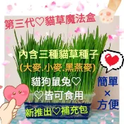 【貓草魔法盒】內含兩種貓草種子(大麥草種子/小麥草種子)  DIY貓草 by蔡小魚和蔡娜美 麥草種子 黑燕麥種子