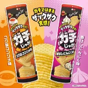 【江戶物語】 Bourbon 北日本 Gachi Jaga 罐裝洋芋片 98g 雞汁/大蒜風味 網狀洋芋片 網格馬鈴薯片