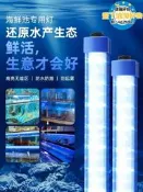 【可開發票】海鮮池燈魚缸專用Led防水220酒店魚池藍白光水產水族養魚照明