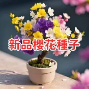 【新品櫻花種子 】台灣山櫻花 緋寒櫻 重瓣八重櫻 庭院盆栽 景觀樹苗 耐熱品種 適合台灣氣候 開花植物 木本花卉 栽種挑