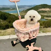 寵物推車 狗狗推車 貓咪推車 寵物出遊 寵物外出 透氣大空間 可拆可折疊 新款寵物推車泰迪狗貓推車自制輕便推車可摺疊外出