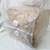 P老闆園藝~智利 /水苔/水草/5公斤/蘭花/蕨類/獨角仙/甲蟲
