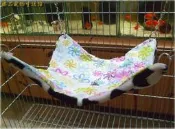 ==臻品寵物生活館==冬夏兩用加厚乳牛珊瑚絨+花朵圖騰棉帆布雙面可變三角大吊床30X30龍貓松鼠飛鼠花栗鼠蜜袋鼯鸚鵡文鳥