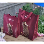 haagen dazs哈根達斯保冷袋