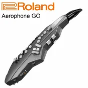 唐尼樂器 TONY MUSIC 免運 Roland AE-05 Aerophone Go 電子吹管(電子長笛、雙簧管、薩克斯風)【唐尼樂器】