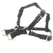 【DOKODEMO】【5積分】成色極佳▼ GUCCI 692963 皮革互扣式G字寵物胸背帶 黑色 金色五金 XS碼 附原廠盒及防塵袋 義大利製 男士