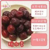 【嘻饈仔現貨】脆口脫水李 酸甘甜李子 刨冰剉冰配料 古早味蜜餞 梅子果乾 零食