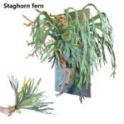 鹿角蕨類植物仿真蕨葉迷你蕨假蕨類植物垂掛植物吊掛植物造景植物造景裝飾傢居裝飾店鋪裝飾餐廳裝飾