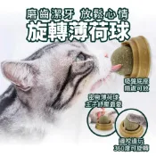 (店+)【威杰爾寵物】旋轉貓薄荷球 木天蓼 貓草球 去毛球 逗貓神器 貓放鬆 貓磨牙 潔牙棒 貓薄荷 貓零食 逗貓球【G006】