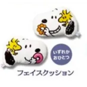 日本 史努比 Snoopy mister donut 聯名 甜甜圈 靠枕 抱枕 腰靠 靠墊 枕頭 小枕頭 沙發枕