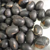 黑豆 炒黑豆 熟黑豆 青仁黑豆，600g，原品炒熟 適合泡茶泡酒