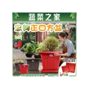 (店+)【蔬菜之家】忠興正四方盆6吋-磚紅色、棕色可加購水盤 台灣製 四方盆 花盆 塑膠花盆 方盆 多肉盆 正方盆