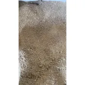 🔥【海灘砂】🔥👌珊瑚砂 100克 貝殼砂 菲律賓砂 魚缸底砂 細砂 貝殼砂 魚缸造景 海水 鹼性 園藝 螃蟹 寄居蟹