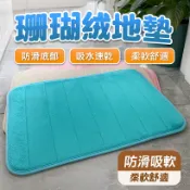 胎王 珊瑚絨地墊 吸水門墊 浴室腳踏墊｜防滑吸水柔軟舒適易清洗