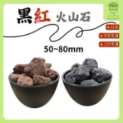 【欣榮園藝490全省免運】紅火山石 黑火山石50~80mm 大顆火山石 造景 水族 火山石 紅火 黑火 大顆石頭
