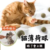 💚放幾顆有奇效💚貓薄荷球 貓草球 貓薄荷 木天蓼 木天蓼球 貓咪薄荷球 貓草玩具 貓零食 貓食