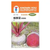 (店+)【天橙種子】根菾菜  SV-190 約2公克 甜菜根 特選種子 根莖類 農友種苗 彩色原包裝