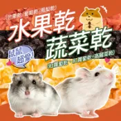 【台灣製】寵物鼠 水果乾 蔬菜乾 倉鼠零食 兔子零食 蜜袋鼯 天竺鼠 水果大餐 磨牙 點心 芒果 葡萄 鳳梨 紅蘿蔔